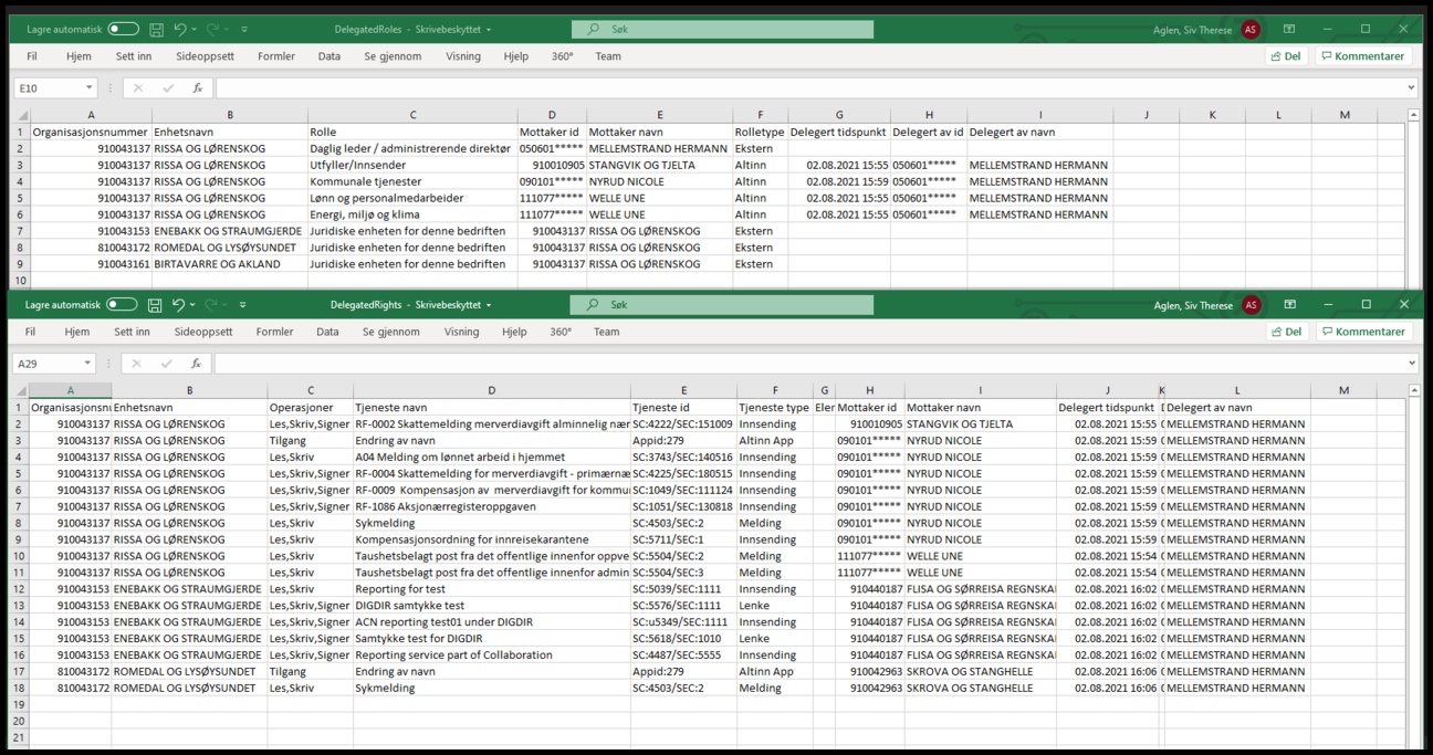 Excel-filer med oversikt over roller og rettigheter